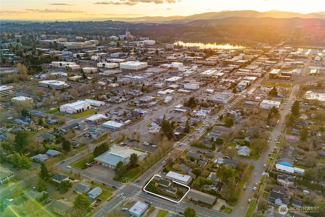 birds eye view of property with a mountain view