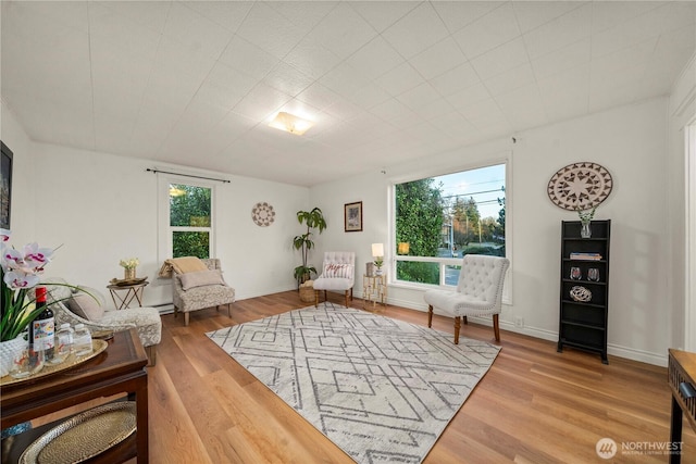 living area featuring a baseboard heating unit, baseboards, and wood finished floors