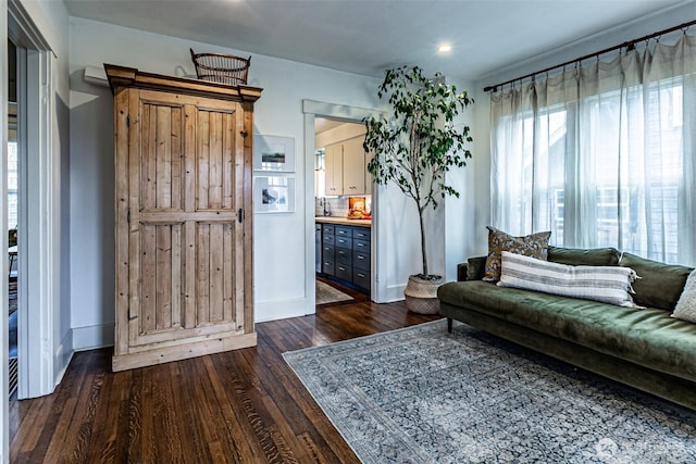 living room featuring dark wood-type flooring