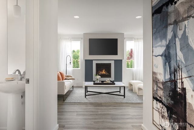 living room featuring hardwood / wood-style flooring and sink