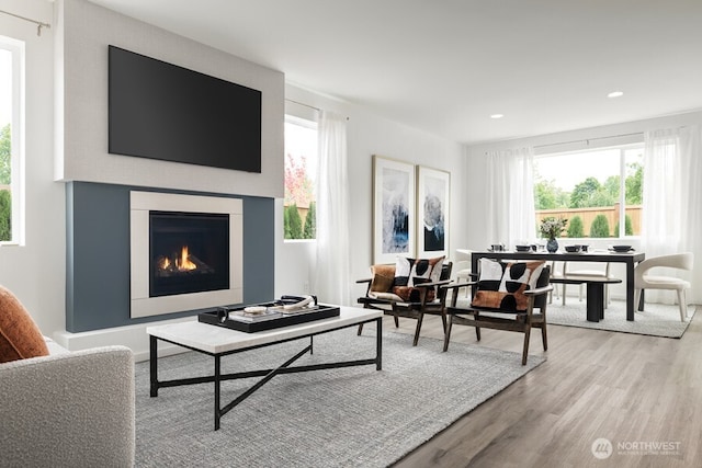 living room featuring light hardwood / wood-style flooring