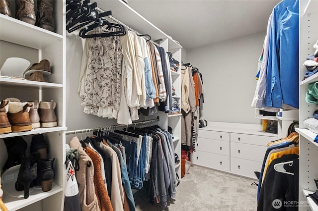 spacious closet featuring carpet