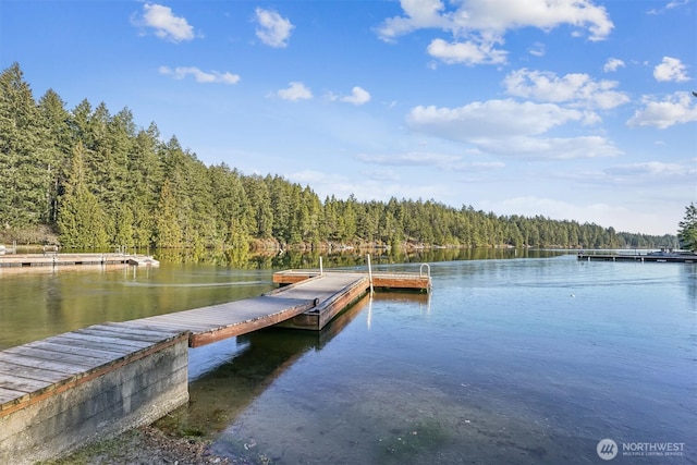 dock area featuring a forest view and a water view