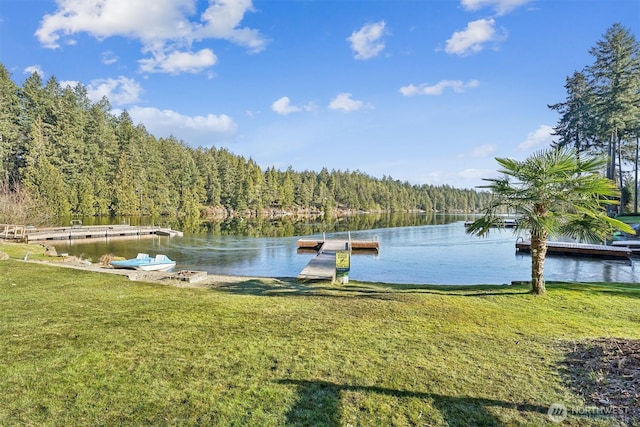 view of dock featuring a water view, a view of trees, and a yard