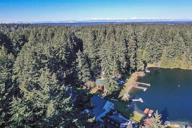 aerial view featuring a water view and a view of trees