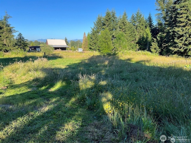 Listing photo 3 for 27721 Webster Rd E, Graham WA 98338