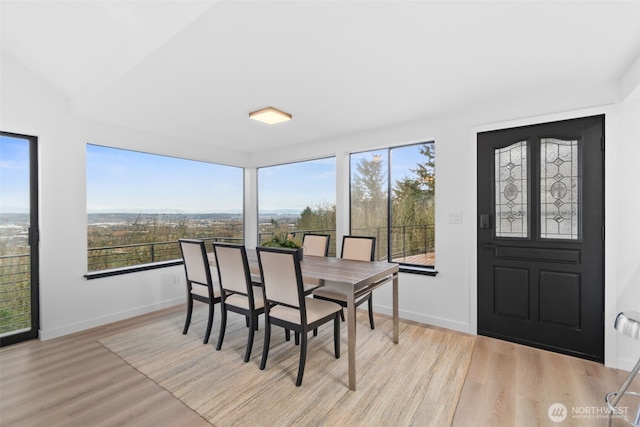 dining space featuring light hardwood / wood-style flooring