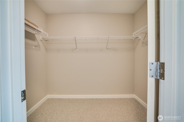 spacious closet with carpet floors