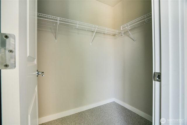 view of spacious closet