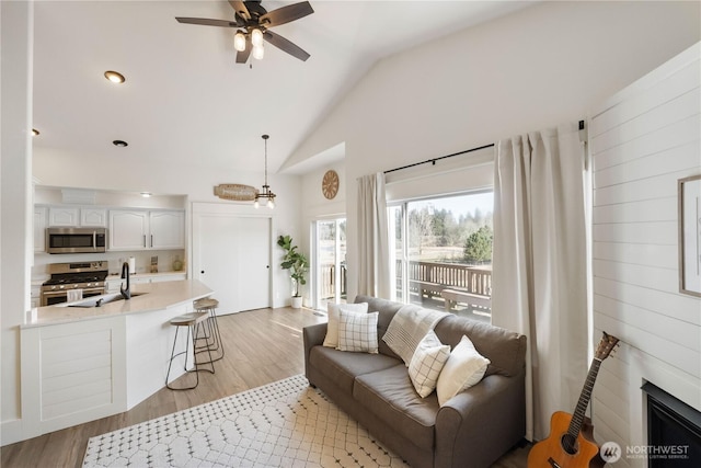 living room with sink, ceiling fan, light hardwood / wood-style floors, and a fireplace