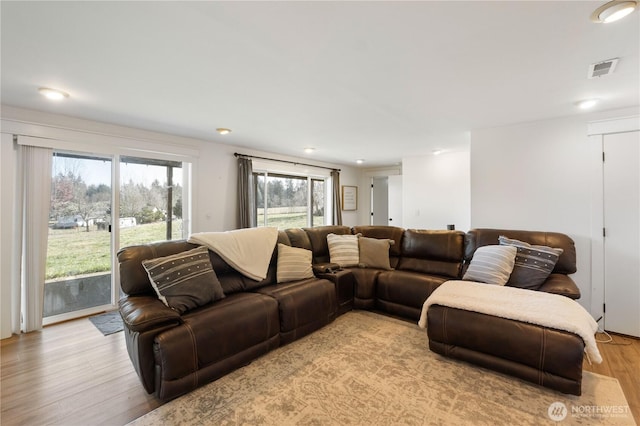 living room featuring light hardwood / wood-style flooring