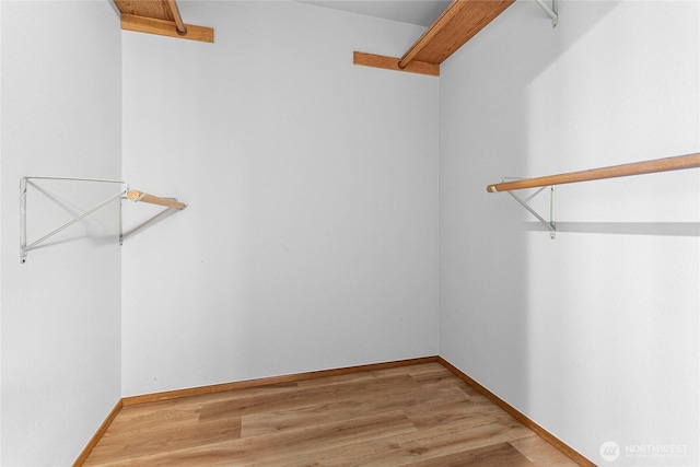 walk in closet featuring hardwood / wood-style floors