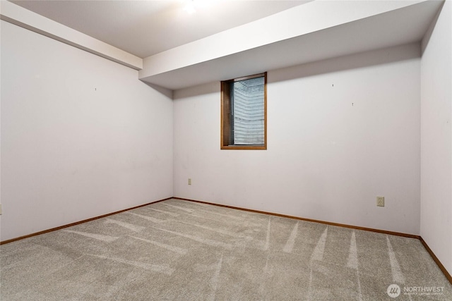 basement featuring carpet floors