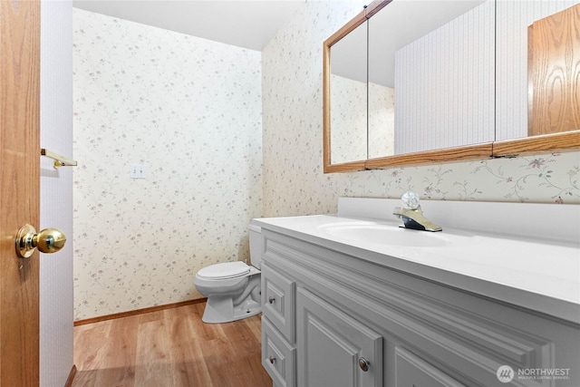 bathroom with vanity, hardwood / wood-style flooring, and toilet