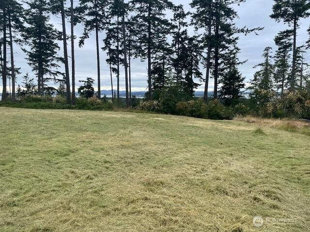 435 Mariner Ln, Lopez Island WA, 98261 land for sale