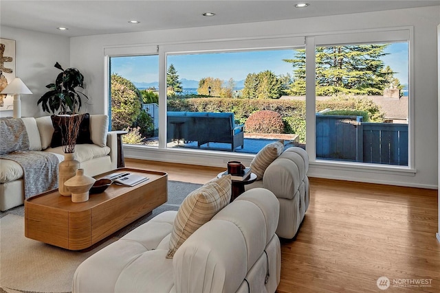 living room with a wealth of natural light and light hardwood / wood-style floors