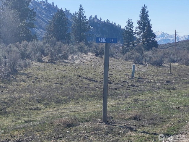 Listing photo 2 for 0 Abie Ln, Tonasket WA 98844