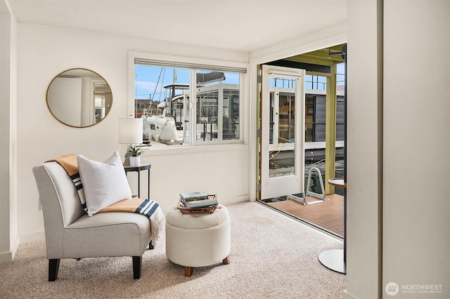 living area featuring carpet