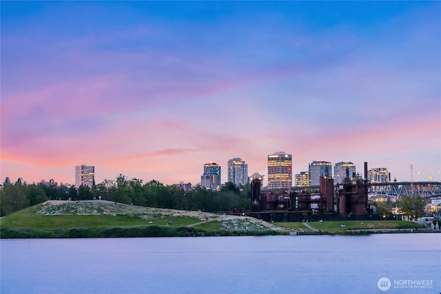 property view of water featuring a city view