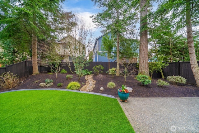 view of yard featuring a fenced backyard