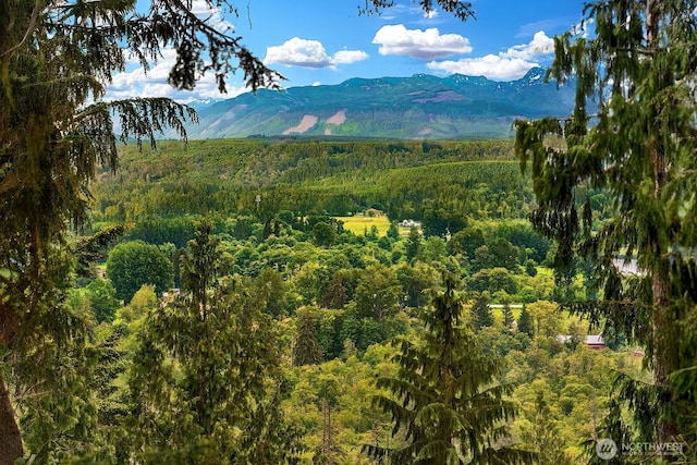 view of mountain feature