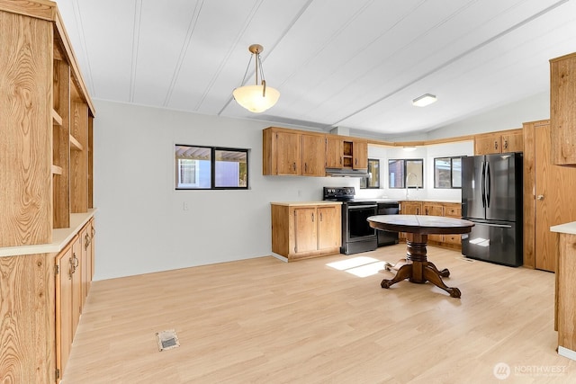 kitchen with stainless steel appliances, lofted ceiling, light hardwood / wood-style flooring, and decorative light fixtures