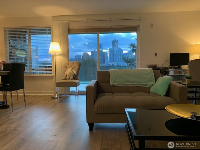 living room with a wealth of natural light and wood-type flooring