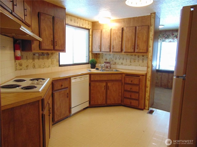 kitchen with sink, white appliances, and plenty of natural light