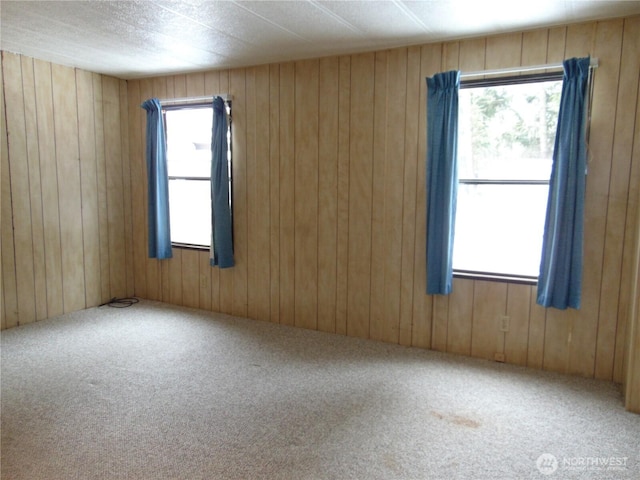 carpeted empty room featuring wooden walls