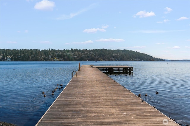 dock area featuring a forest view and a water view