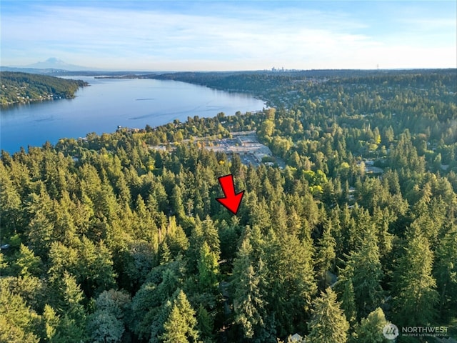 bird's eye view featuring a water view and a view of trees