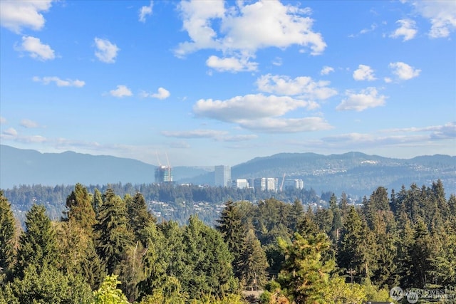 property view of mountains