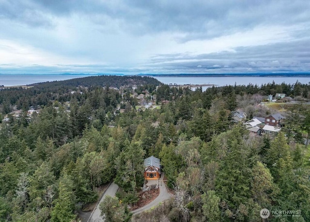 aerial view with a water view and a view of trees