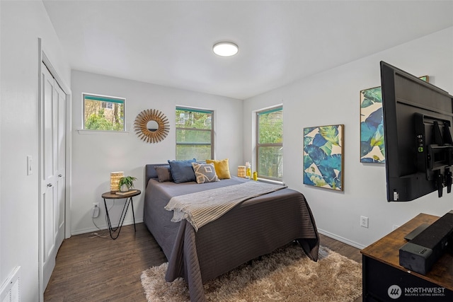 bedroom with multiple windows, a closet, and dark hardwood / wood-style floors