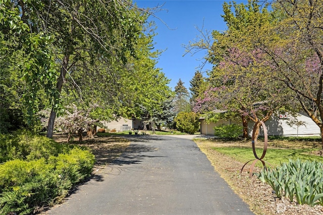 3701 Robinson Canyon Rd, Ellensburg, WA 98926 - view of asphalt driveway