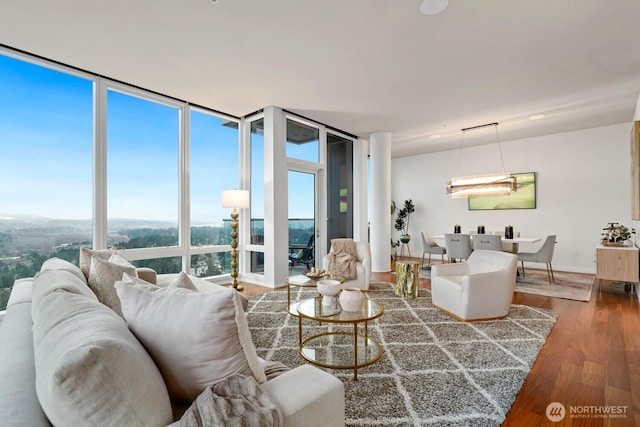 living room featuring expansive windows and wood-type flooring