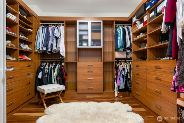 spacious closet featuring hardwood / wood-style floors