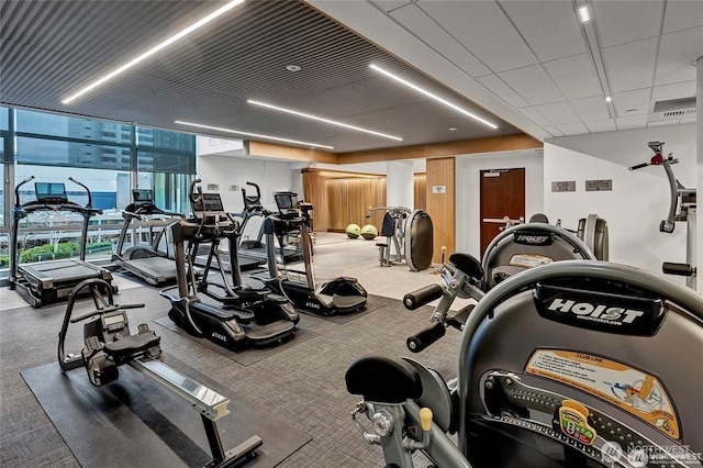 gym featuring floor to ceiling windows, carpet floors, and a drop ceiling