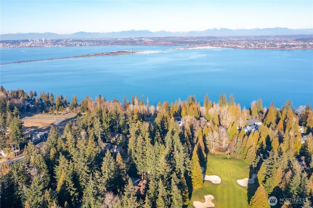 birds eye view of property featuring a water and mountain view