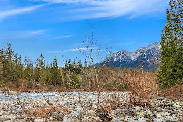 mountain view with a wooded view