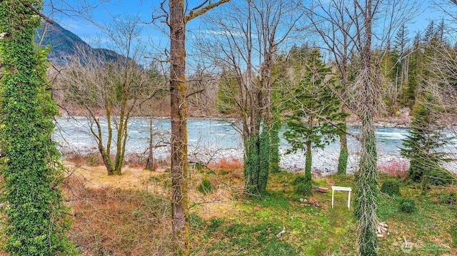 view of water feature with a mountain view and a forest view