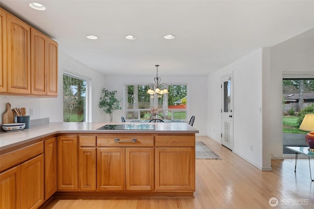 kitchen with a peninsula, black electric cooktop, light countertops, and light wood finished floors