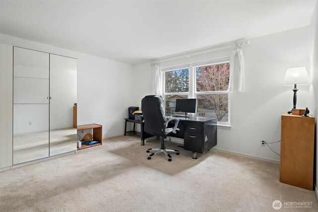 office space featuring light carpet and baseboards