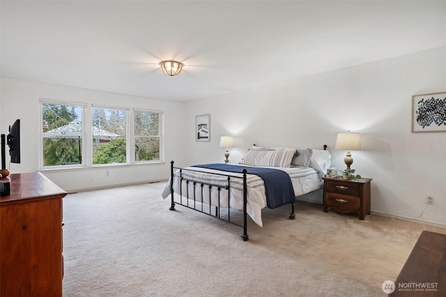 bedroom with baseboards and carpet floors