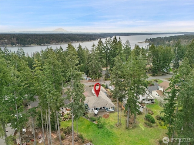 aerial view featuring a forest view and a water view