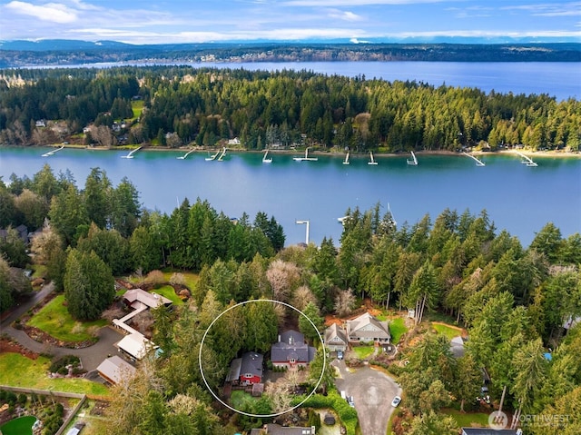 birds eye view of property featuring a water view