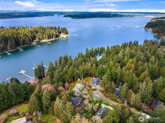 bird's eye view featuring a water view