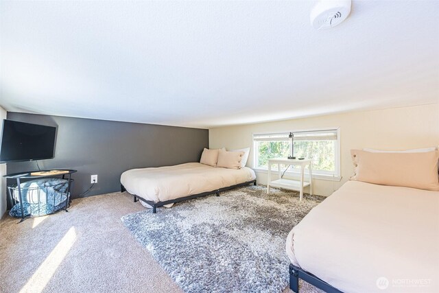 bedroom featuring carpet