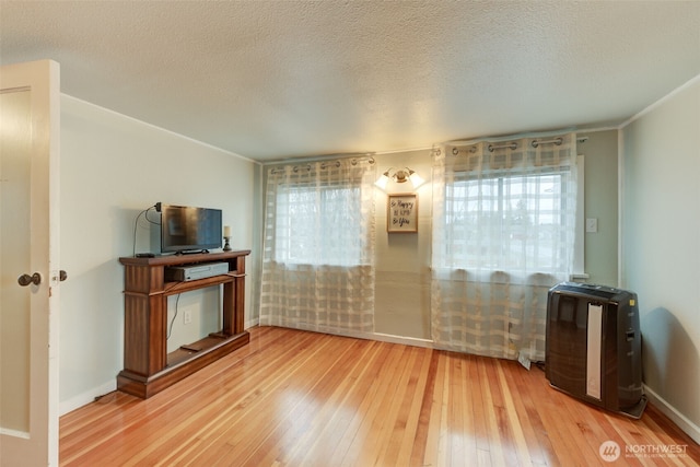 interior space with a textured ceiling, baseboards, and wood-type flooring