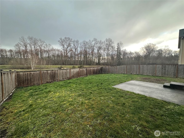 view of yard featuring a patio and a fenced backyard